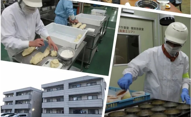 日本2020年8月新單匯總！